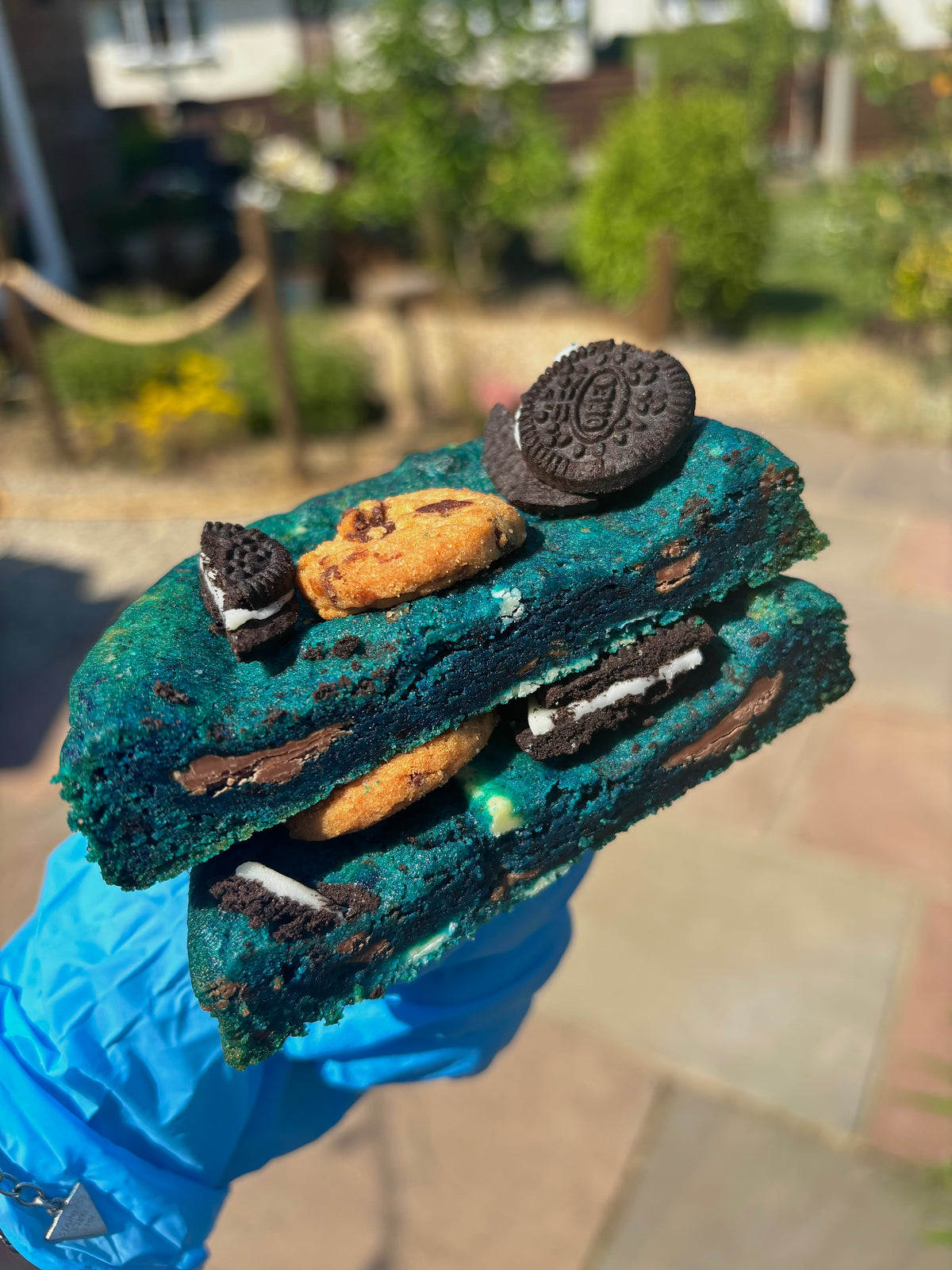 The Cookie Monster