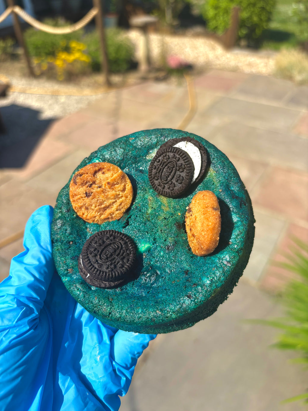 The Cookie Monster