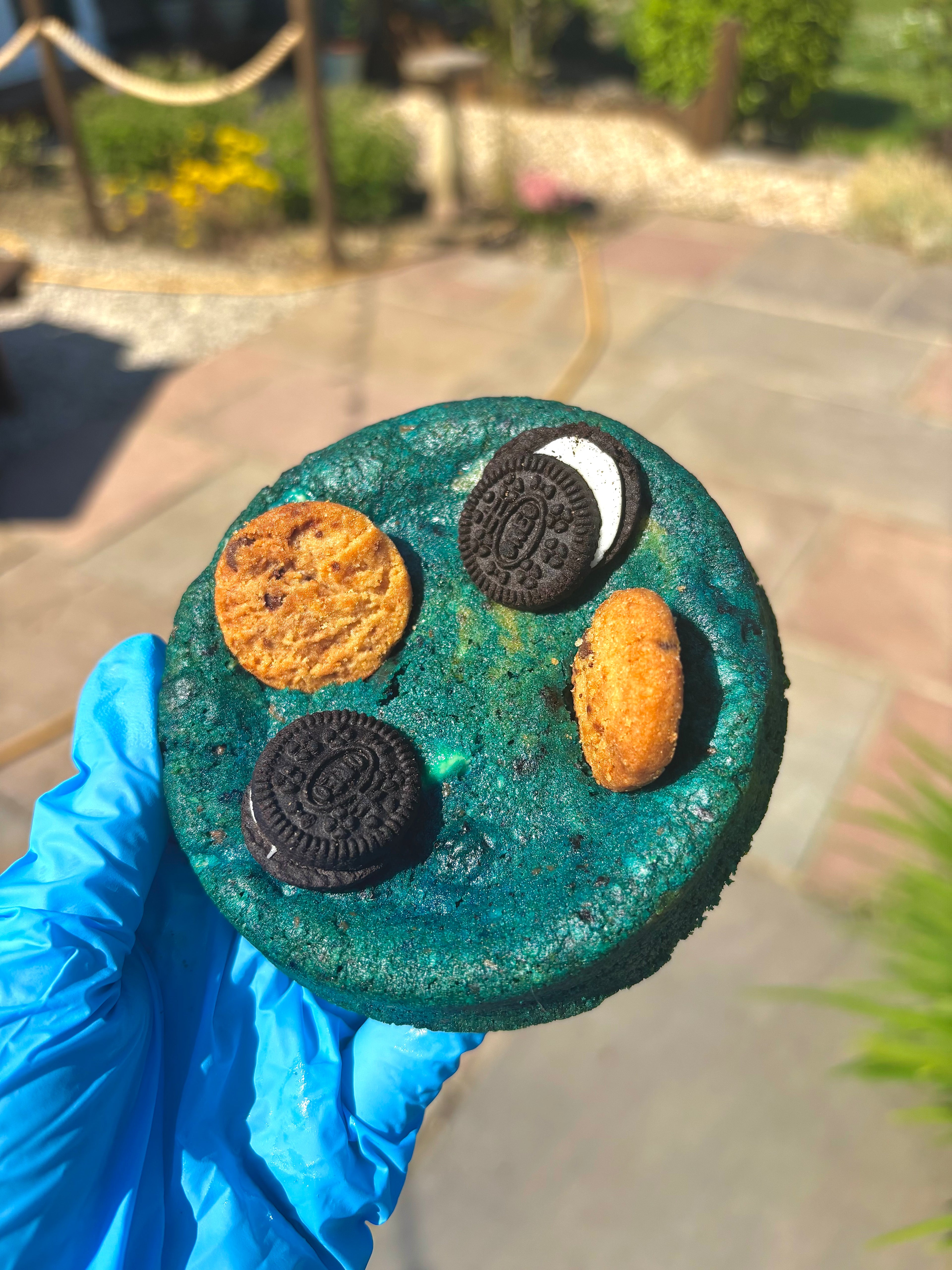 The Cookie Monster